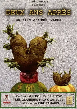 《艾格妮捡风景：两年后》：时间滤镜下的生活切片，不止是风景！