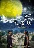 《孔雀眼》：这‘致郁’效果堪比大型车祸现场，观影需谨慎！