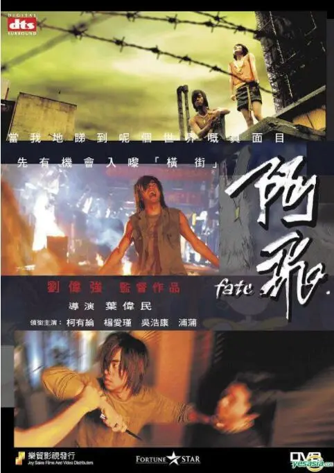 《阿飞》：炸裂青春，一场关于“美丽之家”的梦碎与醒悟！