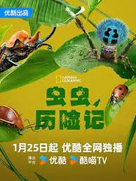 《虫虫历险记》：温情治愈家庭片，阿飞的奇幻成长路！