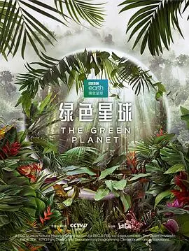 《绿色星球2022》：青春片里的猫鼠游戏，这脑洞也太大了！